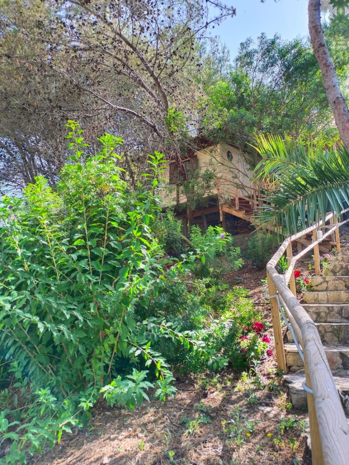 Wild Wild Nest Sperlongaresort Εξωτερικό φωτογραφία