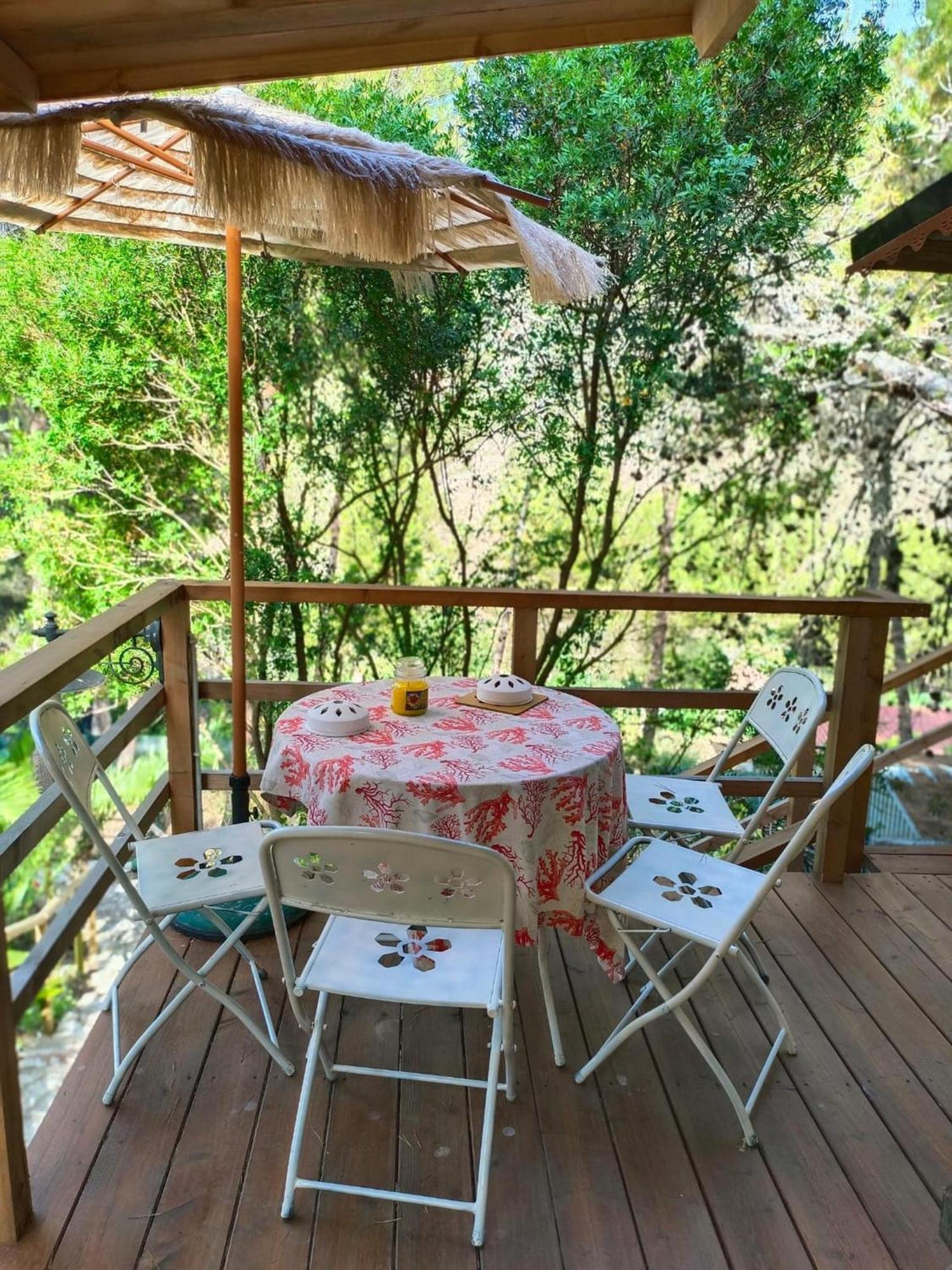 Wild Wild Nest Sperlongaresort Εξωτερικό φωτογραφία