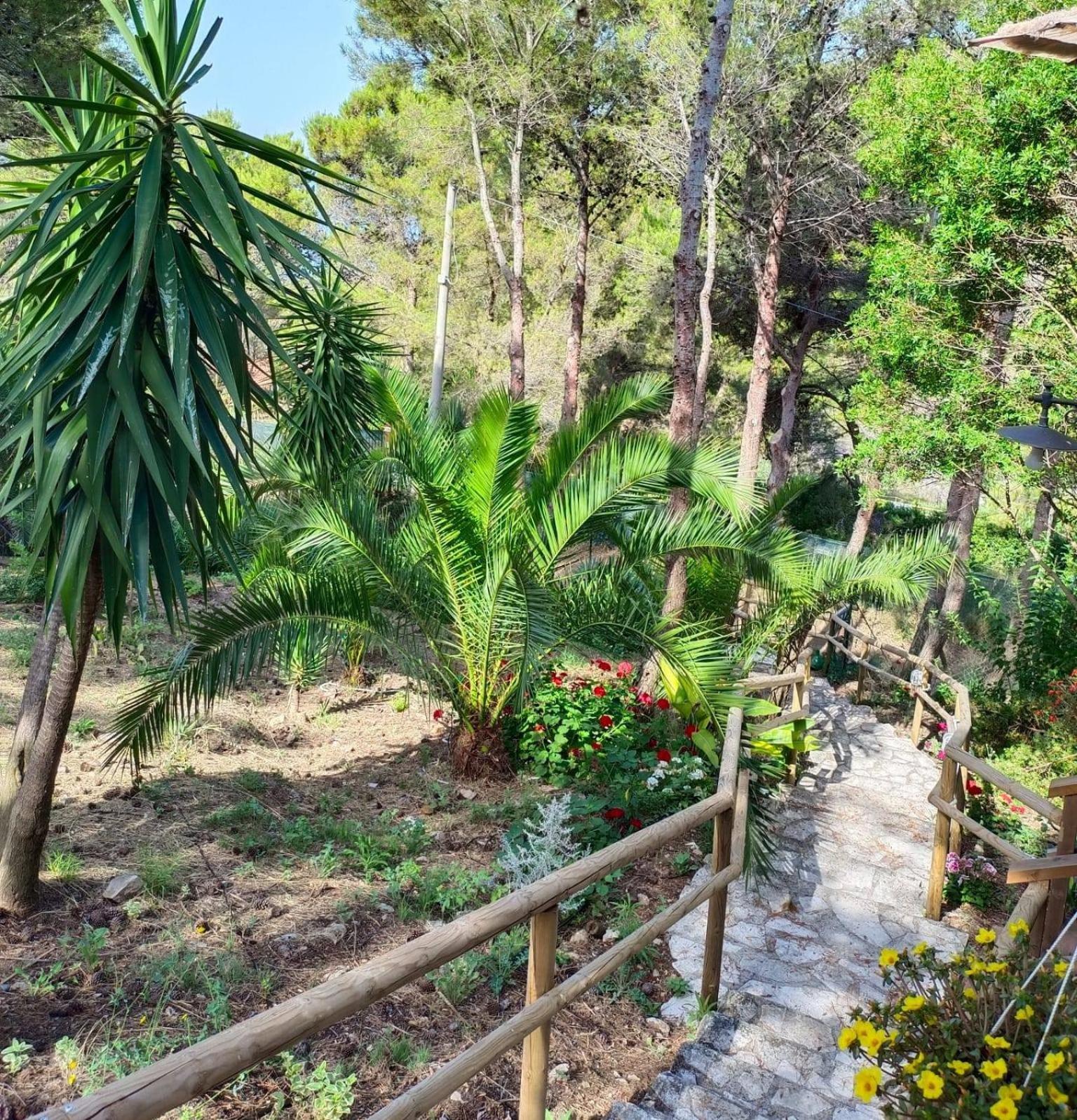 Wild Wild Nest Sperlongaresort Εξωτερικό φωτογραφία
